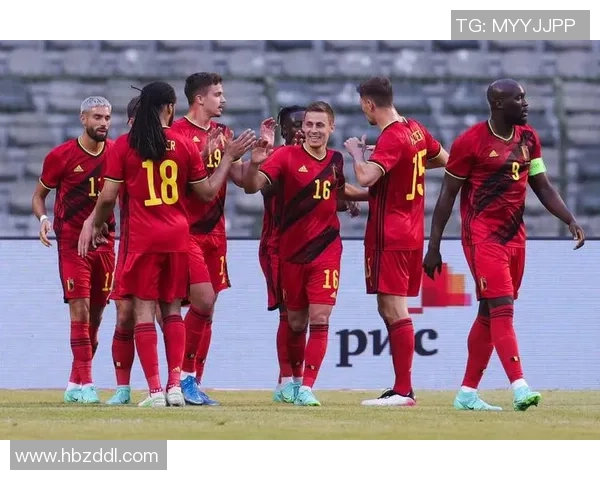 日本与比利时精彩对决录像回放全程分析与精彩瞬间集锦